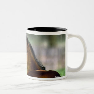 Caneca De Café Em Dois Tons Cavalo do puro-sangue, Ireland