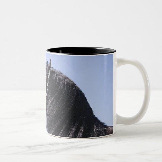 Caneca De Café Em Dois Tons cavalo preto com juba longa (Direita)