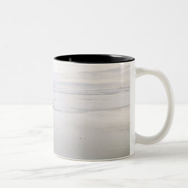 Caneca De Café Em Dois Tons Cavalo que funciona na praia (Direita)