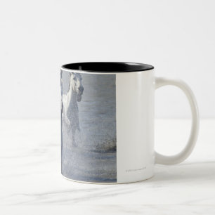 Caneca De Café Em Dois Tons Cavalos de Camargue que funcionam na região