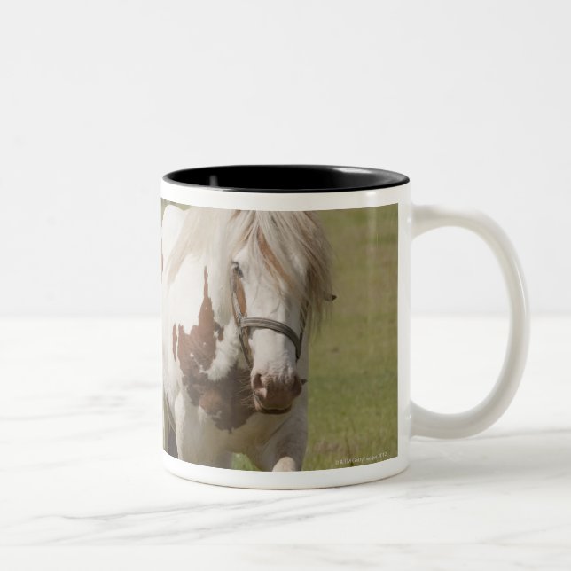 Caneca De Café Em Dois Tons Cavalos de Clydesdale em um campo, Northumberland, (Direita)