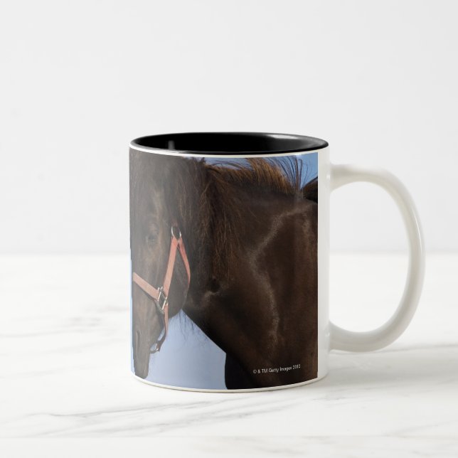 Caneca De Café Em Dois Tons Cavalos islandêses que enfrentam-se (Direita)