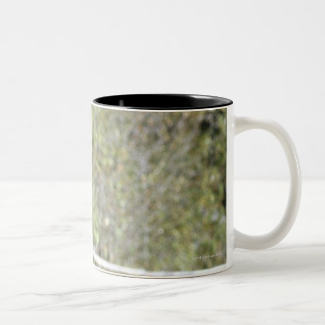 Caneca De Café Em Dois Tons Cavalos no pasto (Direita)