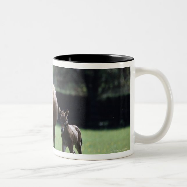 Caneca De Café Em Dois Tons Cavalos - puro-sangue, égua e potro, (Direita)