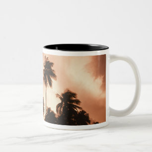 Caneca De Café Em Dois Tons Cayo Ambergris, Belize, América Central. 2