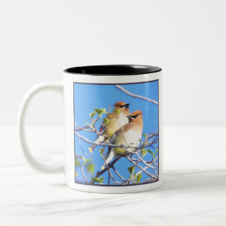 Caneca De Café Em Dois Tons Cedar Waxwings