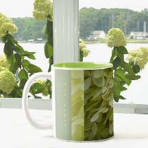Celadon Green Hydrangea Blossomas