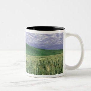 Caneca De Café Em Dois Tons Celeiro vermelho em campo de trigo e cevada em Whi