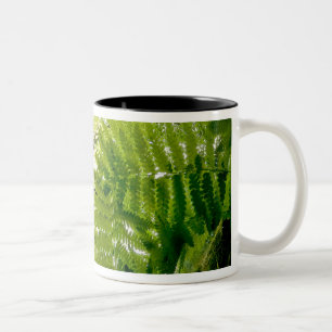 Caneca De Café Em Dois Tons Cena da floresta no Parque Nacional Acadia, Maine.