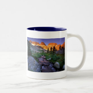 Caneca De Café Em Dois Tons Cena da natureza mim