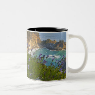 Caneca De Café Em Dois Tons Cenário de McWay Falls desaba na praia e