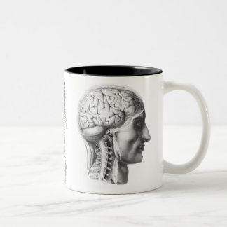 Caneca De Café Em Dois Tons cérebro revelado