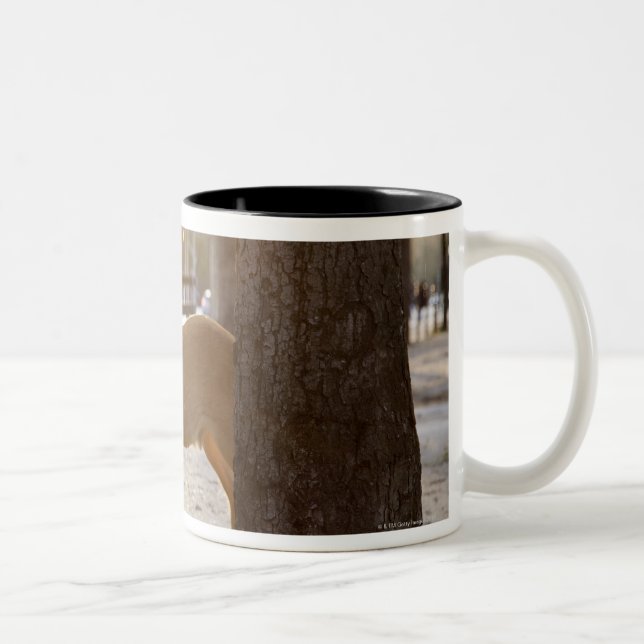 Caneca De Café Em Dois Tons Cervos na cidade (Direita)