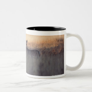 Caneca De Café Em Dois Tons Cervos no campo da grama alta