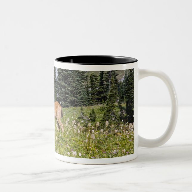 Caneca De Café Em Dois Tons Cervos no parque do paraíso (Direita)