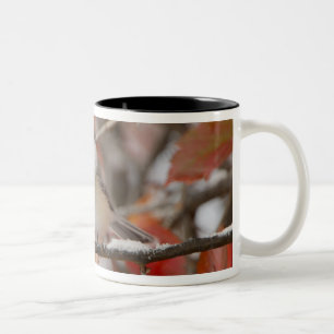 Caneca De Café Em Dois Tons Chapim-de-cabeça-preta adulto na neve