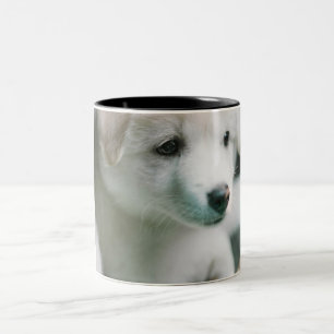 Caneca De Café Em Dois Tons "Charme de Cachorrinho Branco Fofinho"