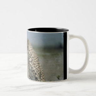 Caneca De Café Em Dois Tons Cheetah Mug