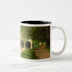 Caneca De Café Em Dois Tons Chenonceau Chateau, Loire Valley,