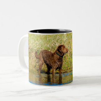 Caneca De Café Em Dois Tons Chesapeake Bay Retriever Caça Café Mug