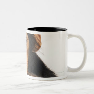 Caneca De Café Em Dois Tons Chimpanzé (troglodytes da bandeja). Playfull novo