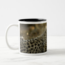 Caneca De Café Em Dois Tons Chita, Acinonyx jubatus, com filhote no Masai 2
