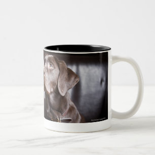 Caneca De Café Em Dois Tons Chocolate labrador retriever