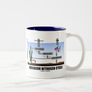 Caneca De Café Em Dois Tons Ciclo de nitrogênio do aquário (ecologia)