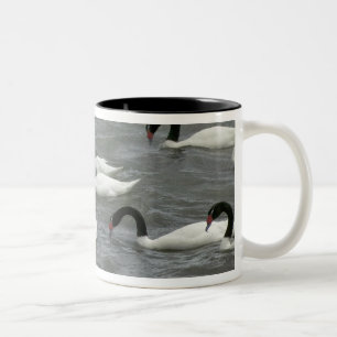 Caneca De Café Em Dois Tons Cisnes de pescoço preto (Cygnus melancoryphus)