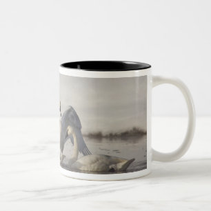 Caneca De Café Em Dois Tons Cisnes Trombeteiros no rio Madison no inverno