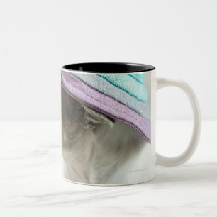 Caneca De Café Em Dois Tons Close-up of a Chihuahua wearing a hat