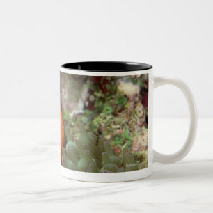 Caneca De Café Em Dois Tons Clownfish 2
