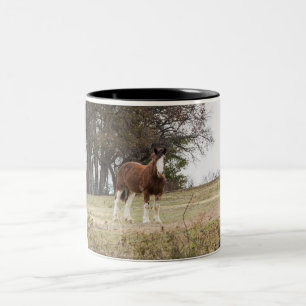 Caneca De Café Em Dois Tons Clydesdale