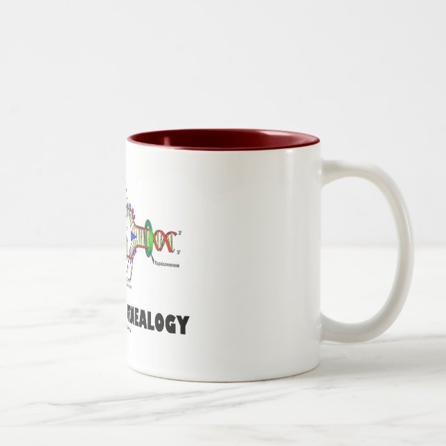 Caneca De Café Em Dois Tons Codificado para a árvore genealógica (réplica do (Direita)