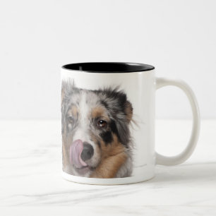 Caneca De Café Em Dois Tons Coelho (bebê de um ano) que encontra-se ao lado d