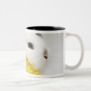 Caneca De Café Em Dois Tons Coelho branco e preto na trela azul com amarelo