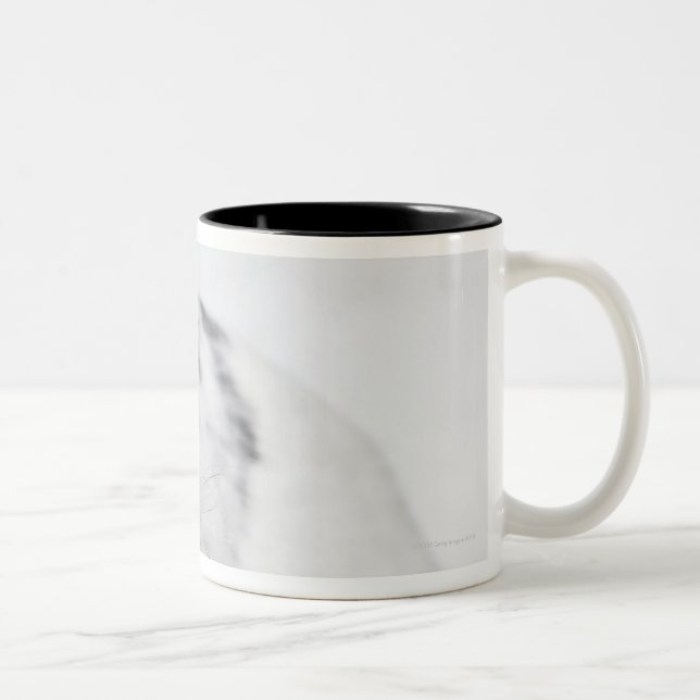 Caneca De Café Em Dois Tons Coelho branco, preto e marrom (Direita)
