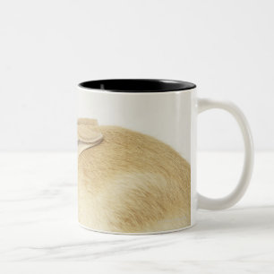 Caneca De Café Em Dois Tons Coelho de coelho bege no fundo branco 4