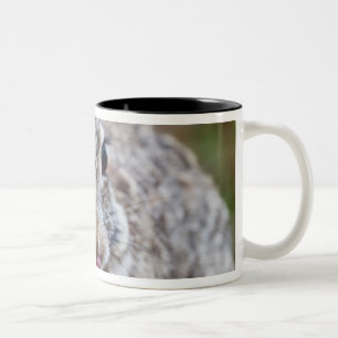Caneca De Café Em Dois Tons Coelho de coelho de Texas