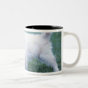 Caneca De Café Em Dois Tons Coelho do filhote de cachorro e da orelha do Lop
