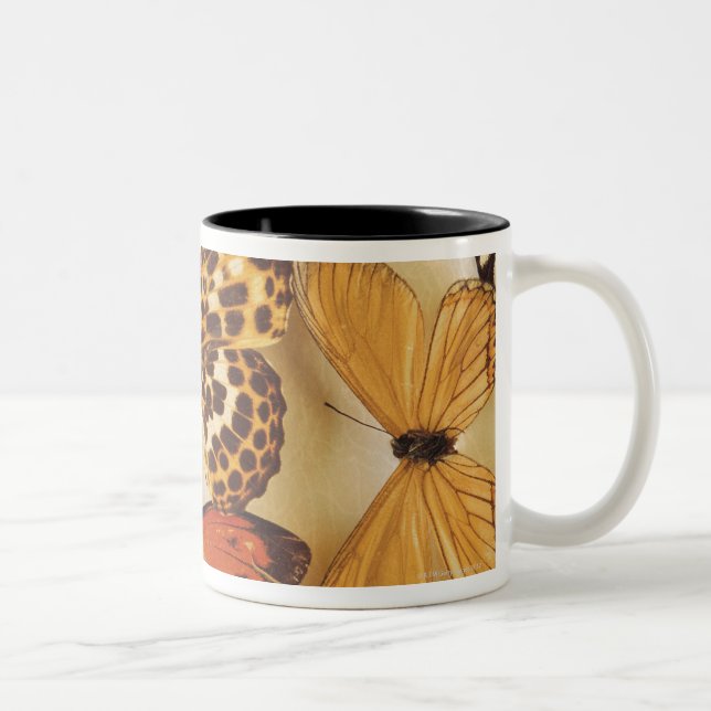 Caneca De Café Em Dois Tons Coleção da borboleta (Direita)