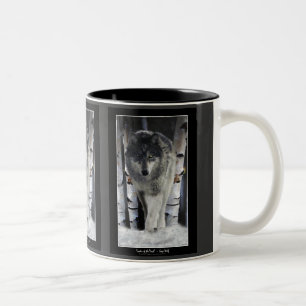 Caneca De Café Em Dois Tons Coleção WOLF CINZA PACK