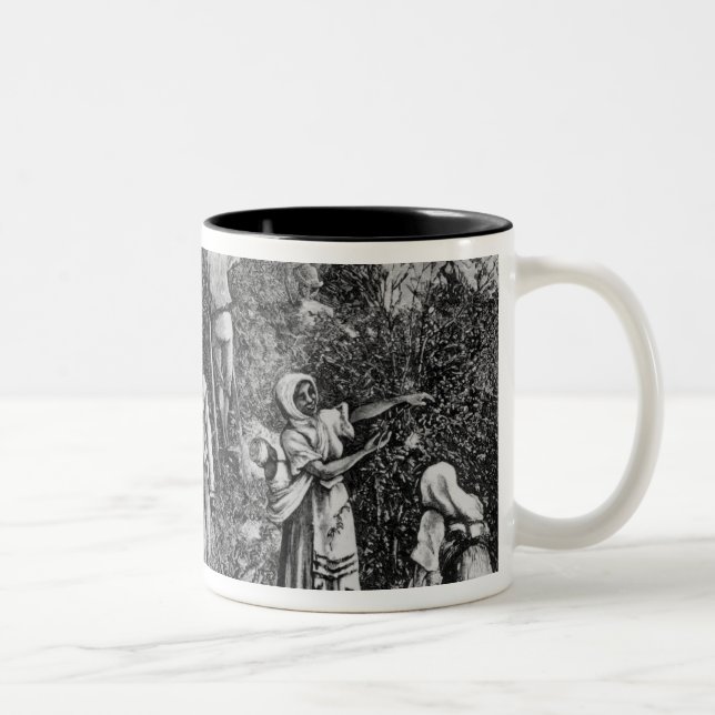 Caneca De Café Em Dois Tons Colheita do café (Direita)