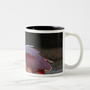 Caneca De Café Em Dois Tons Colhereiro-rosado, Ajaia ajaja, Ding Darling