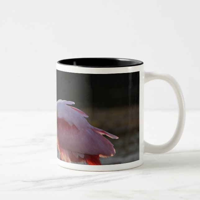 Caneca De Café Em Dois Tons Colhereiro-rosado, Ajaia ajaja, Ding Darling (Direita)