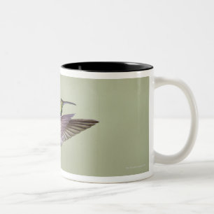 Caneca De Café Em Dois Tons Colibri Verde-breasted Anthracocorax 2 da manga