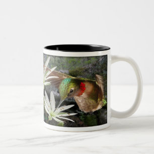 Caneca De Café Em Dois Tons Colibris Throated do rubi bonito