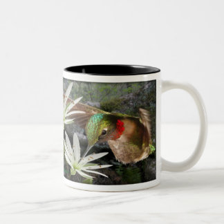 Caneca De Café Em Dois Tons Colibris Throated do rubi bonito