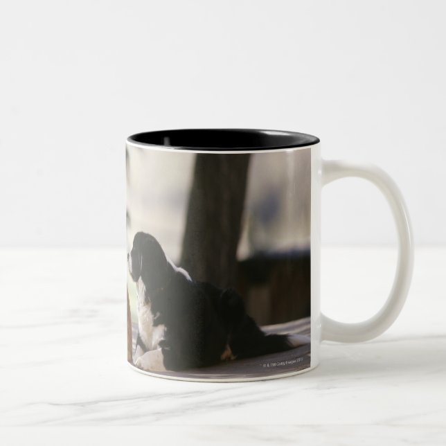 Caneca De Café Em Dois Tons Colorado ocidental, EUA (Direita)