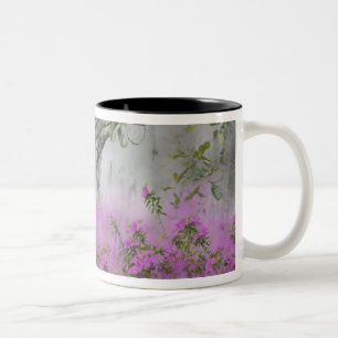 Caneca De Café Em Dois Tons Composto digital de Azaleas e árvore magnólia